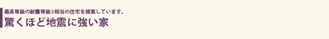 驚くほど地震に強い家